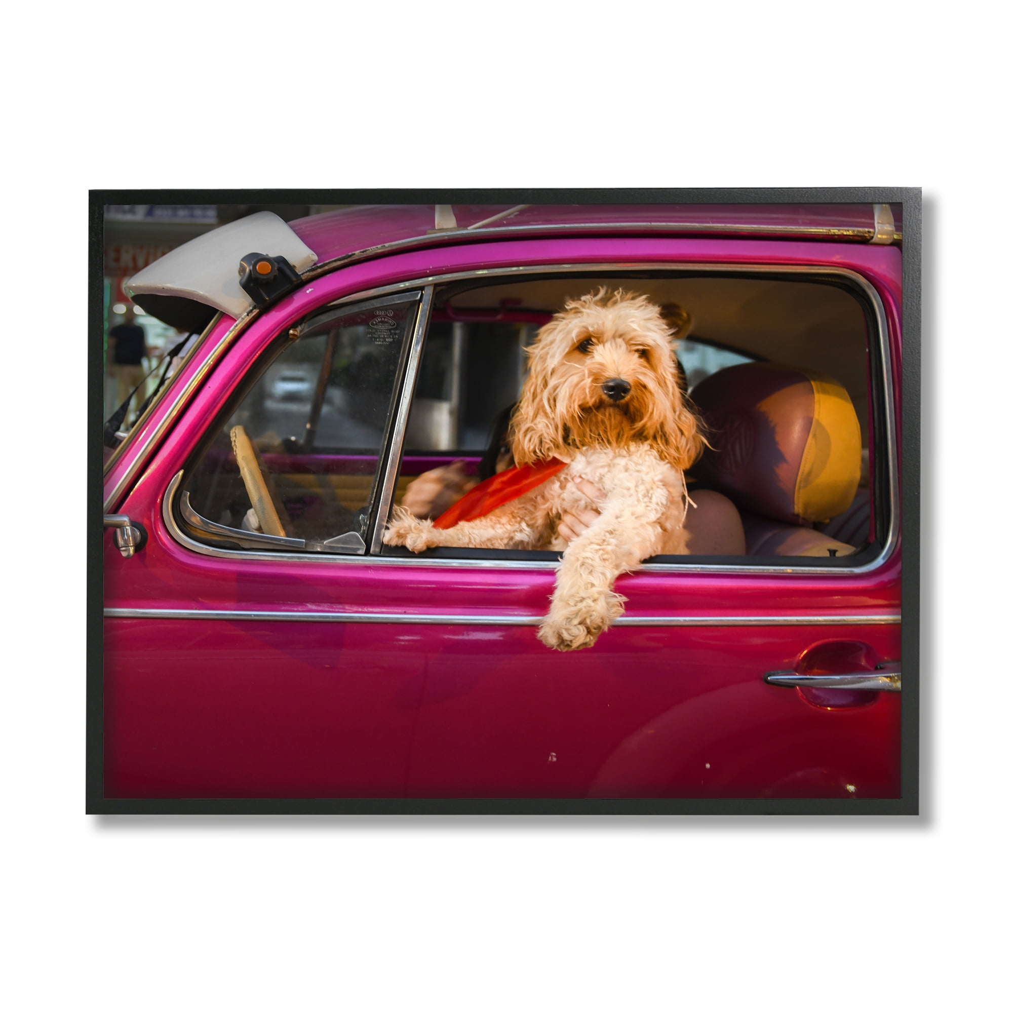 Stupell Industries Funny Chauffeur Dog Animals & Insects Photography Black Framed Art Print Wall Art, 20 x 16