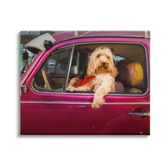 Stupell Industries Funny Chauffeur Dog Animals & Insects Photography Gallery Wrapped Canvas Art Print Wall Art, 20 x 16