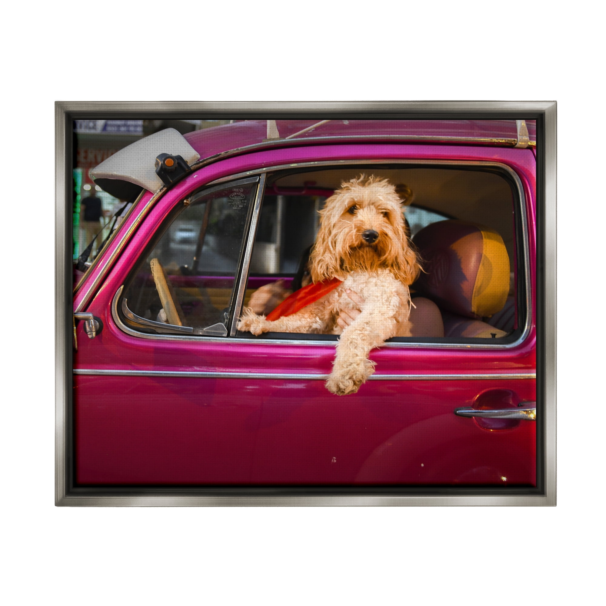 Stupell Industries Funny Chauffeur Dog Animals & Insects Photography Gray Floater Framed Canvas Art Print Wall Art, 21 x 17