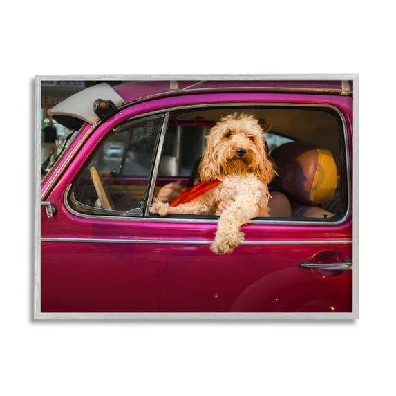 Stupell Industries Funny Chauffeur Dog Animals & Insects Photography Gray Framed Art Print Wall Art, 20 x 16