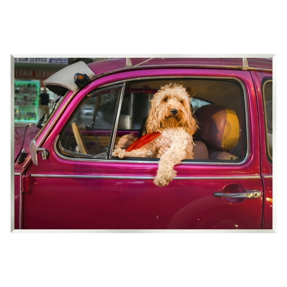 Stupell Industries Funny Chauffeur Dog Animals & Insects Photography Unframed Art Print Wall Art, 19 x 13