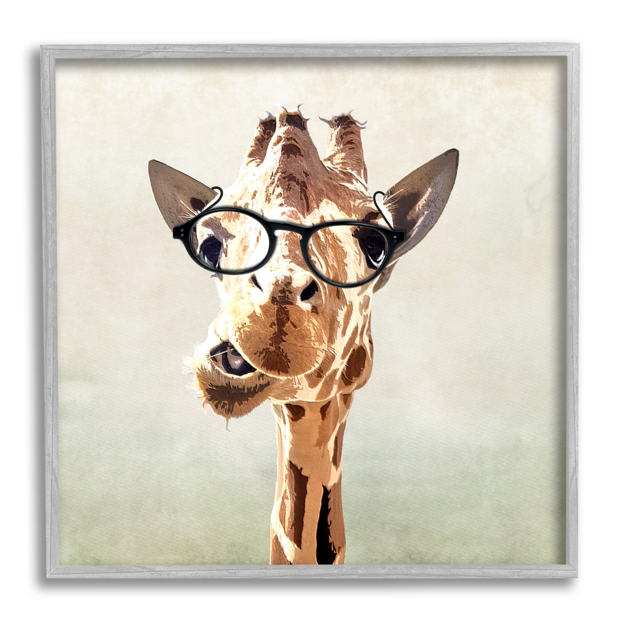 Stupell Industries Funny Chewing Giraffe Glasses Animals & Insects Painting Gray Framed Art Print Wall Art