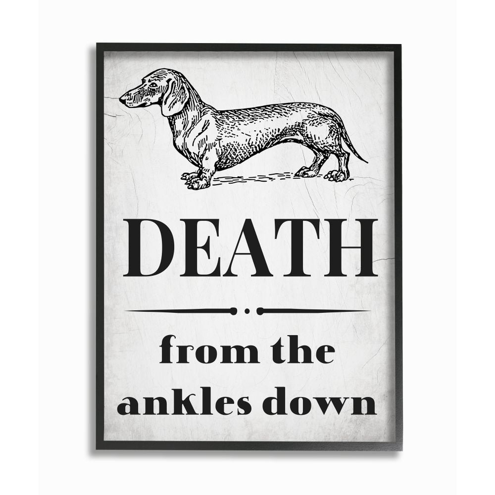 Stupell Industries Funny Dachshund Dog Ankle Quote Family Pet Framed Wall Art Design by Daphne Polselli, 11" x 14", Black Framed