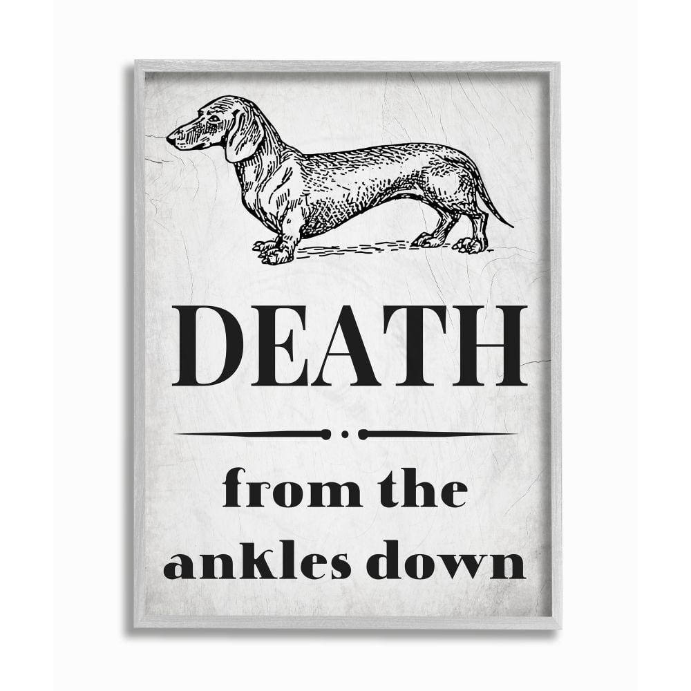 Stupell Industries Funny Dachshund Dog Ankle Quote Family Pet Framed Wall Art Design by Daphne Polselli
