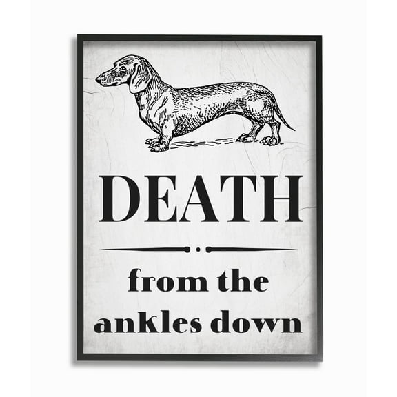 Stupell Industries Funny Dachshund Dog Ankle Quote Family Pet Framed Wall Art Design by Daphne Polselli, 24" x 30", Black Framed