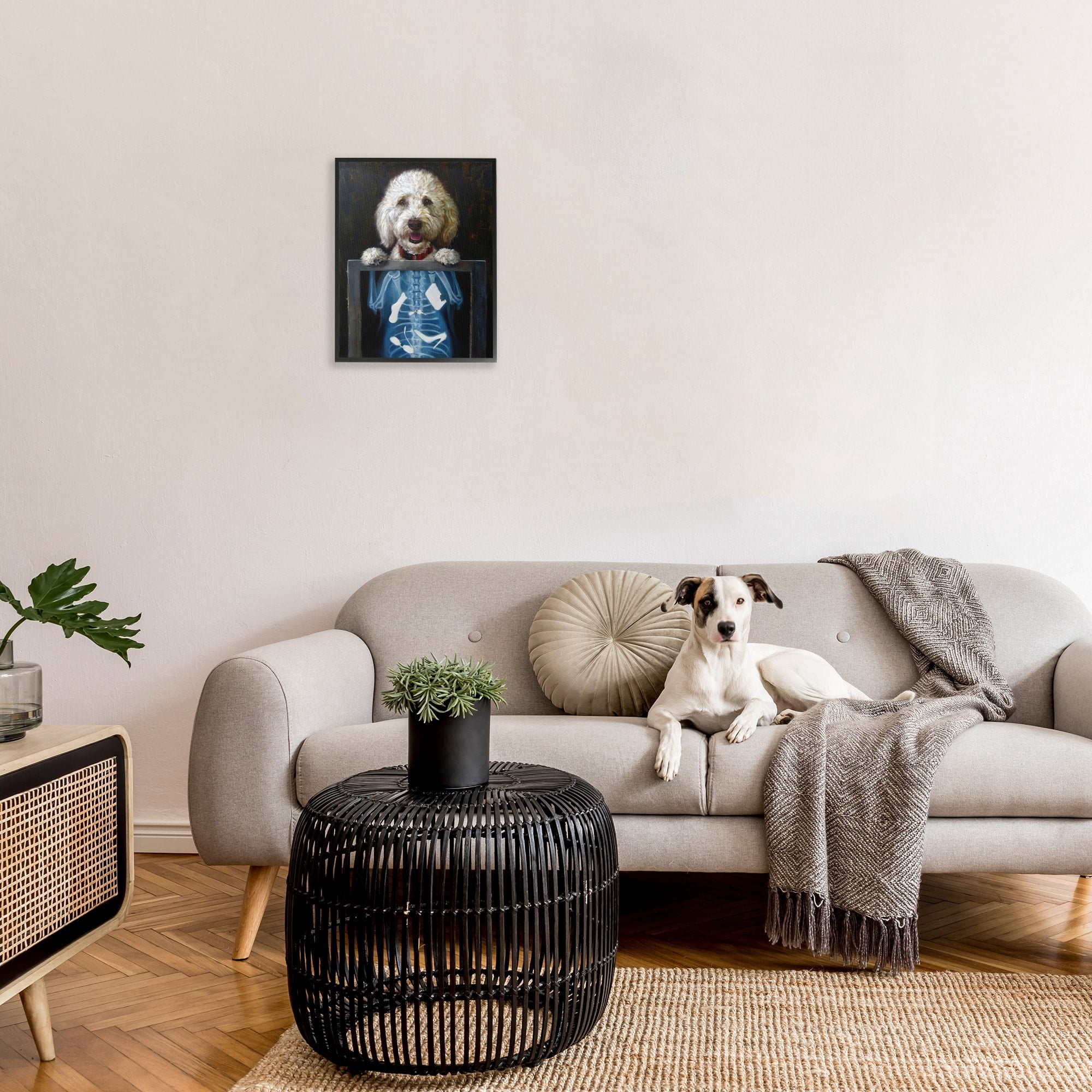 Stupell Industries Funny Dog X-Ray Snacks Animals & Insects Painting Black Framed Art Print Wall Art
