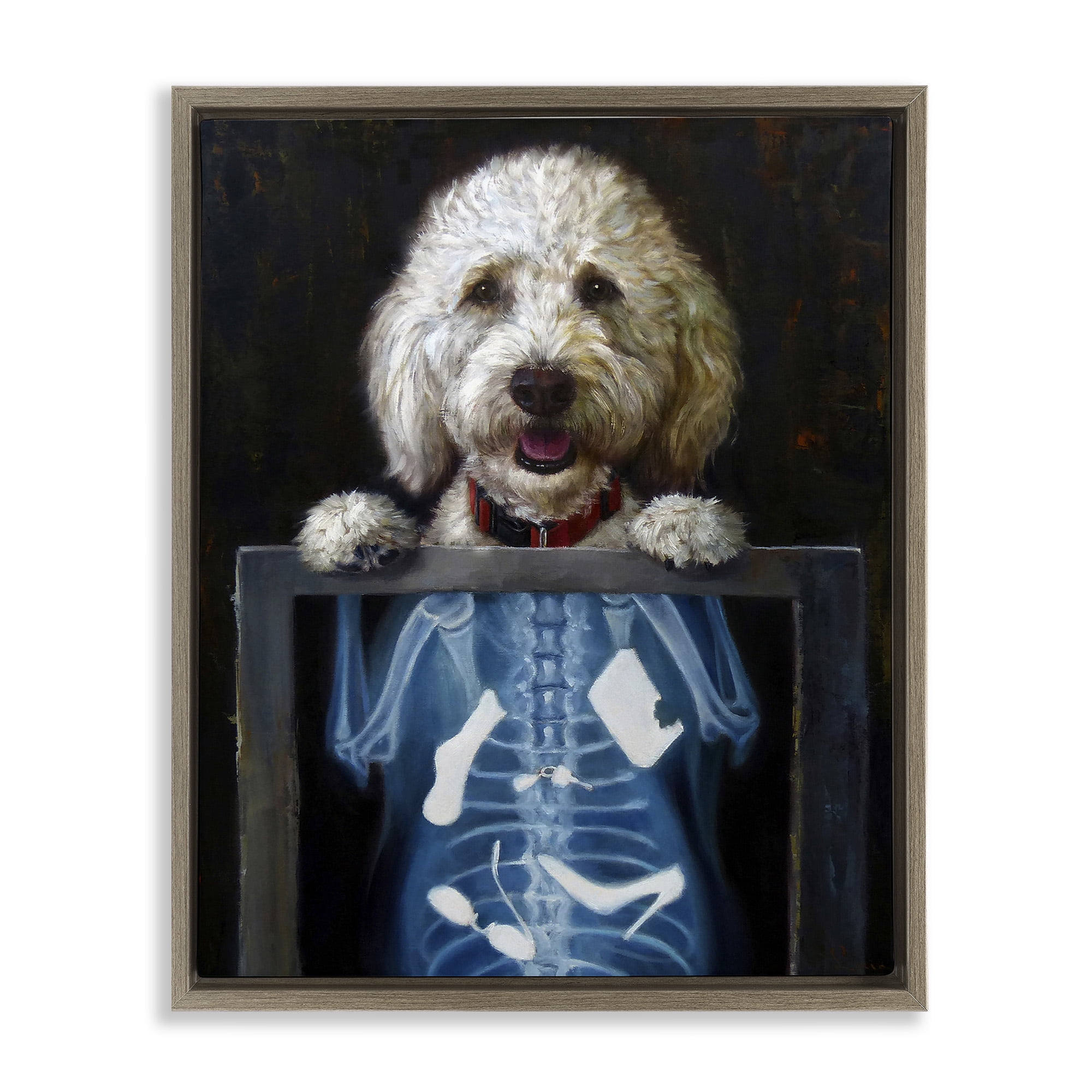 Stupell Industries Funny Dog X-Ray Snacks Animals & Insects Painting Brown Floater Framed Canvas Art Print Wall Art, 25 x 31