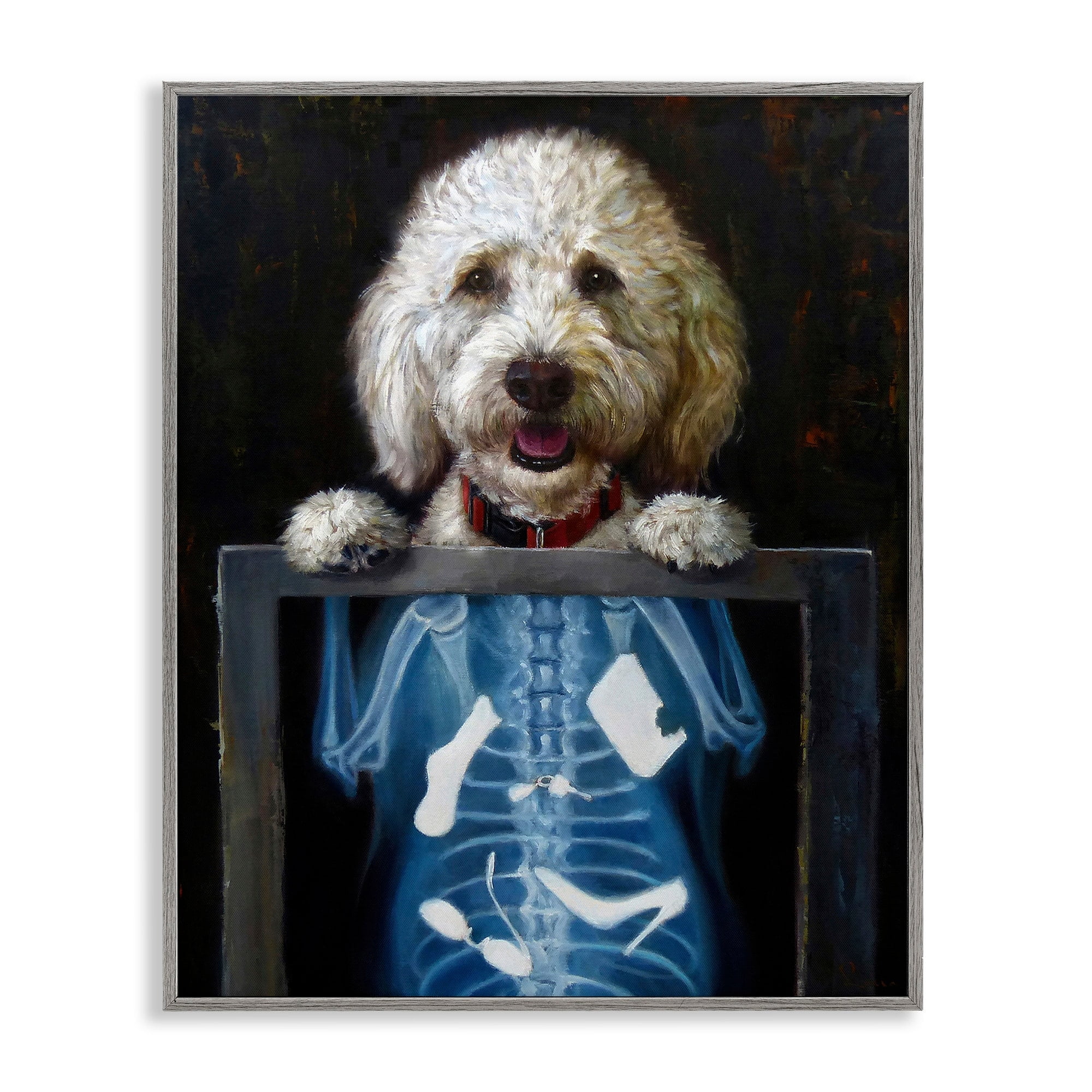 Stupell Industries Funny Dog X-Ray Snacks Animals & Insects Painting Gray Framed Art Print Wall Art