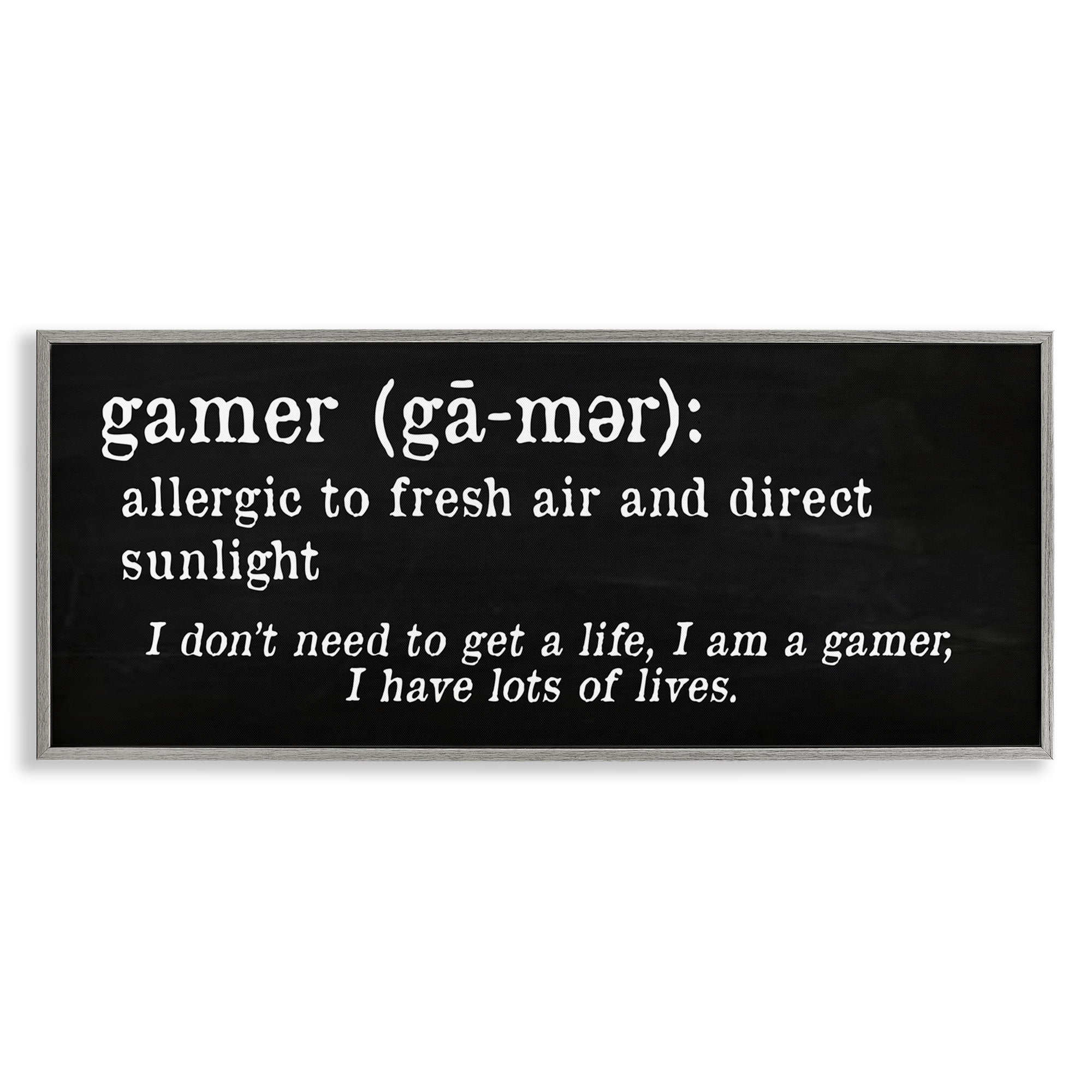 Stupell Industries Funny Gamer Definition Novelty & Humor Painting Gray Framed Art Print Wall Art, 30 x 13