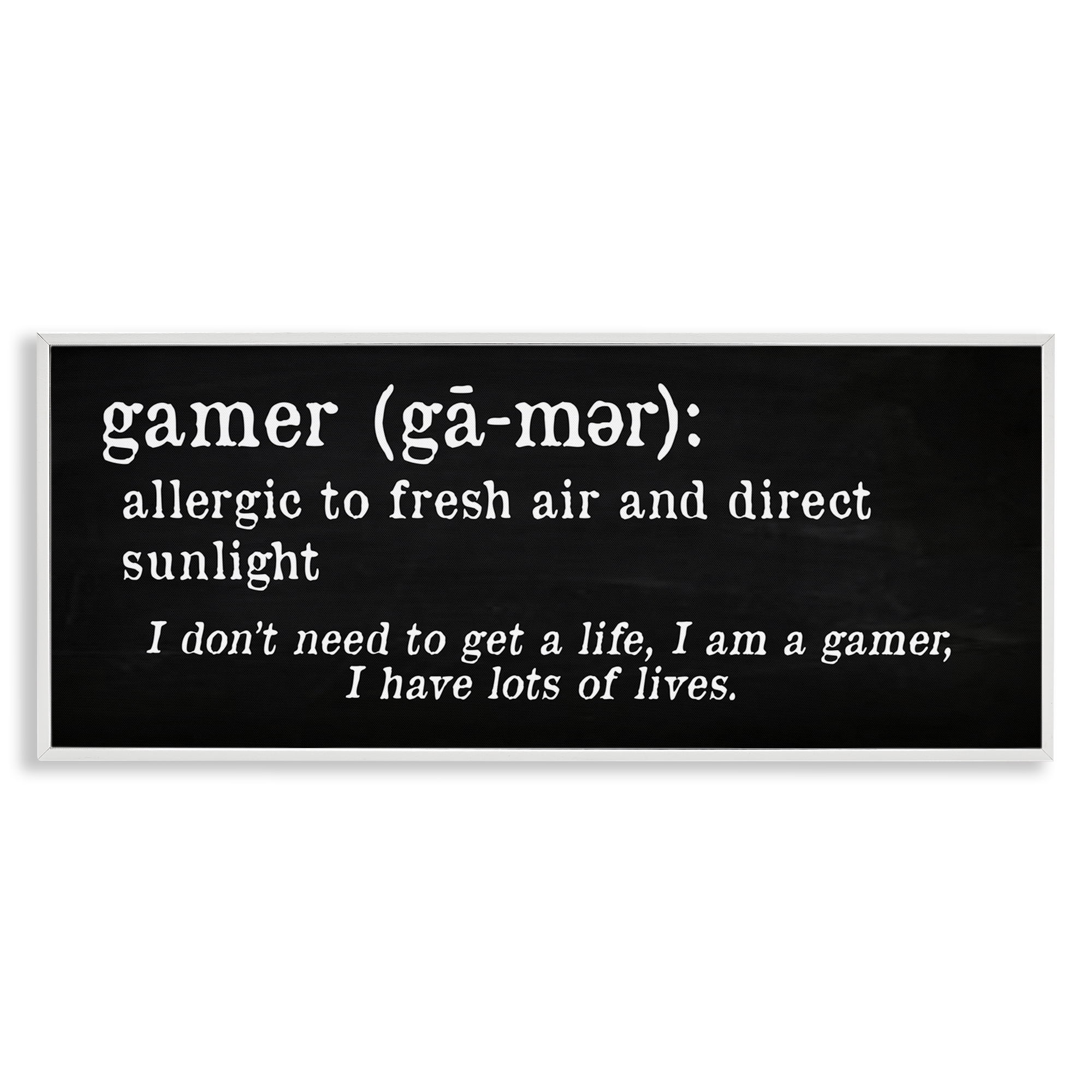 Stupell Industries Funny Gamer Definition Novelty & Humor Painting White Framed Art Print Wall Art, 24 x 10