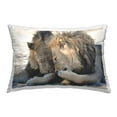 thumbnail image 1 of Stupell Industries Funny Gossiping Lions Decorative Printed Throw Pillow, 14 x 20, 1 of 8