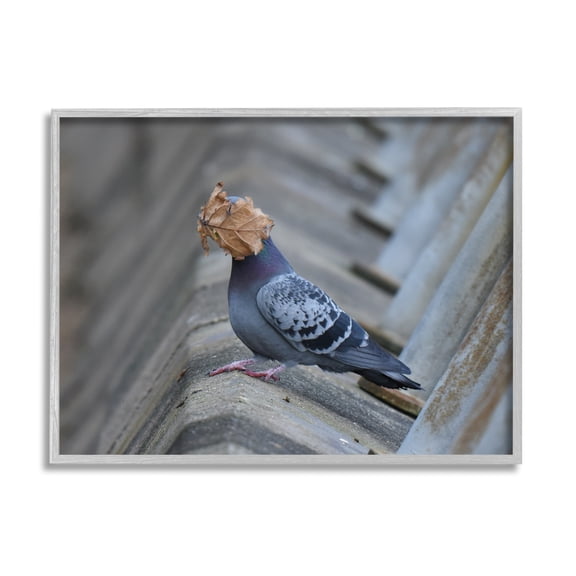 Stupell Industries Funny Leaf in Pigeon's Face Animals & Insects Photography Gray Framed Art Print Wall Art, 30 x 24
