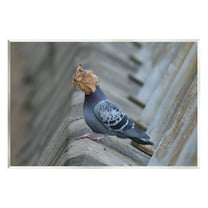 Stupell Industries Funny Leaf in Pigeon's Face Animals & Insects Photography Unframed Art Print Wall Art, 15 x 10