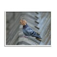 thumbnail image 1 of Stupell Industries Funny Leaf in Pigeon's Face Animals & Insects Photography White Framed Art Print Wall Art, 14 x 11, 1 of 9