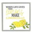 thumbnail image 1 of Stupell Industries Funny Lemons to Limoncello Food & Beverage Painting Gray Framed Art Print Wall Art, 24 x 24, 1 of 9