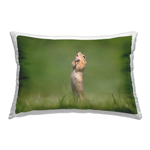 Stupell Industries Funny Meerkat Posing Decorative Printed Throw Pillow, 14 x 20