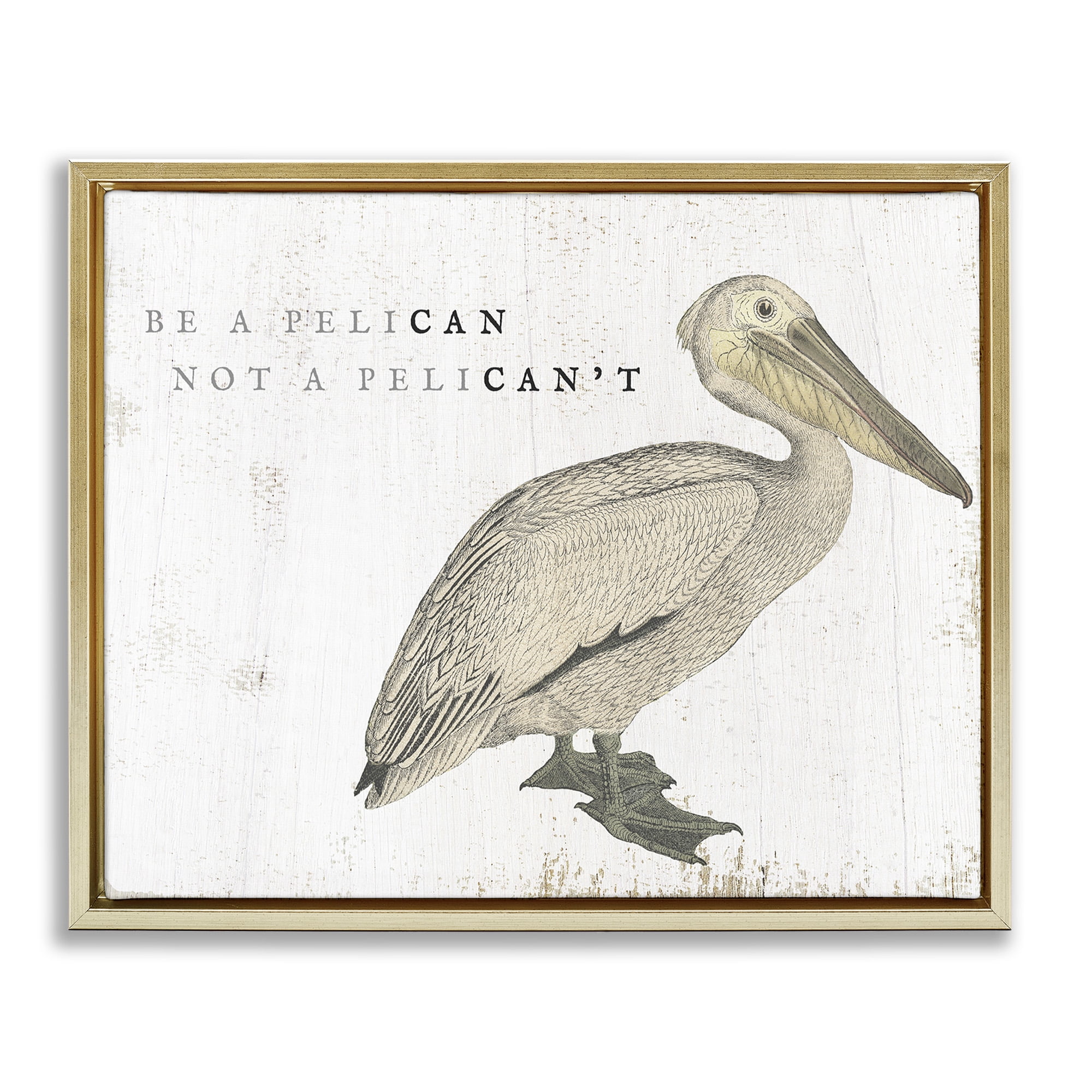 Stupell Industries Funny Pelican Beach Phrase Pun Typography Painting Gold Floater Framed Canvas Art Print Wall Art, 21 x 17