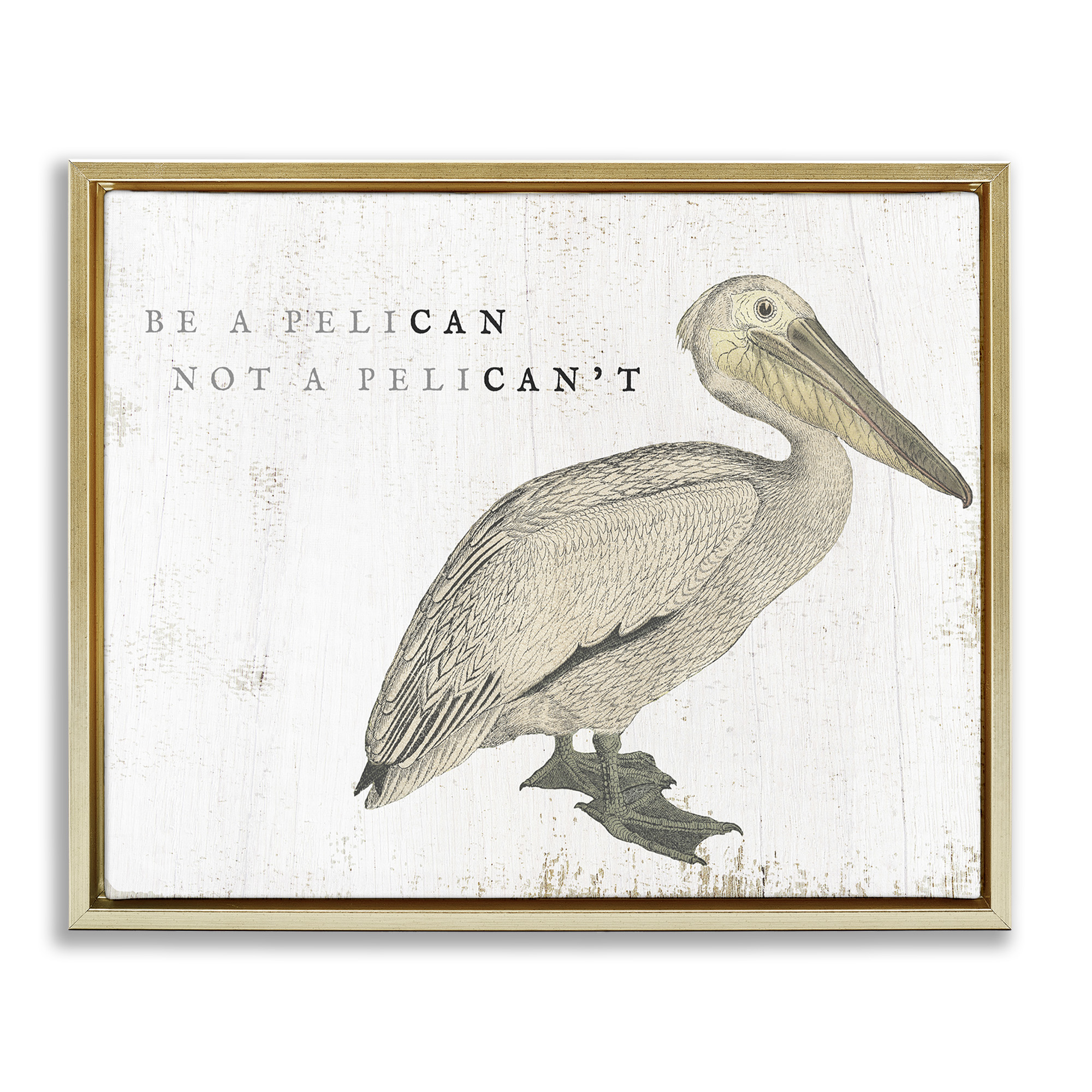 Stupell Industries Funny Pelican Beach Phrase Pun Typography Painting Gold Floater Framed Canvas Art Print Wall Art, 31 x 25
