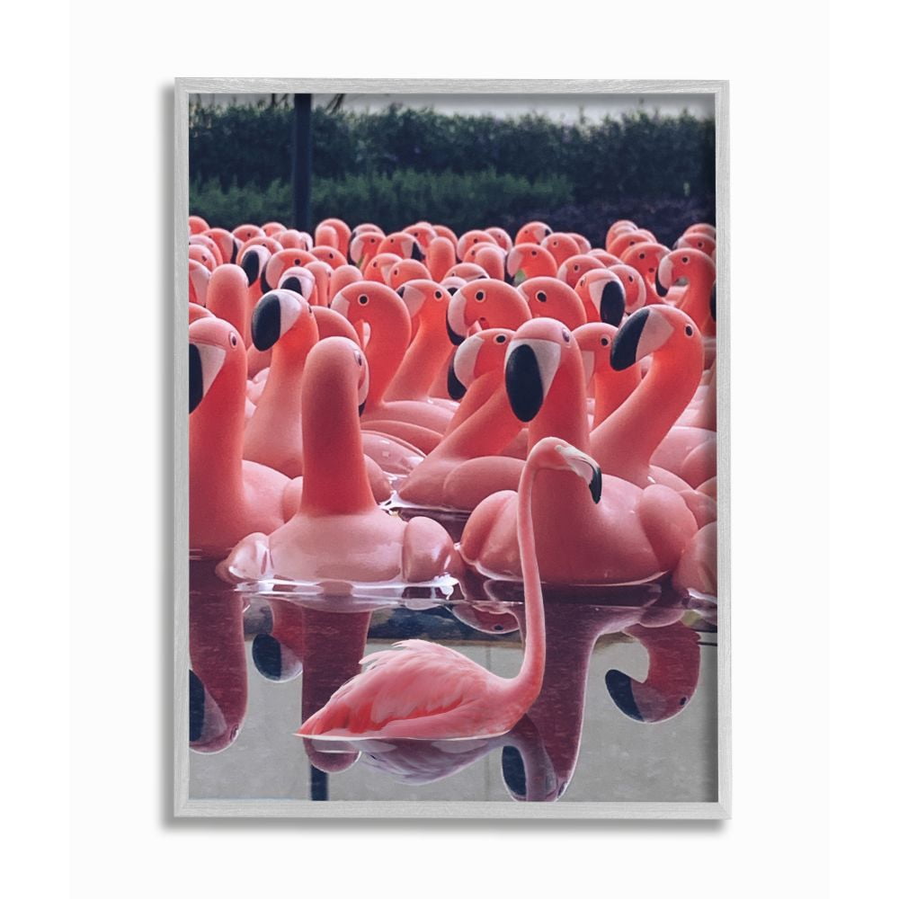 Stupell Industries Funny Pink Flamingo Pool Bird Toys Photograph Framed Wall Art Design by Ziwei Li, 11" x 14", Gray Framed