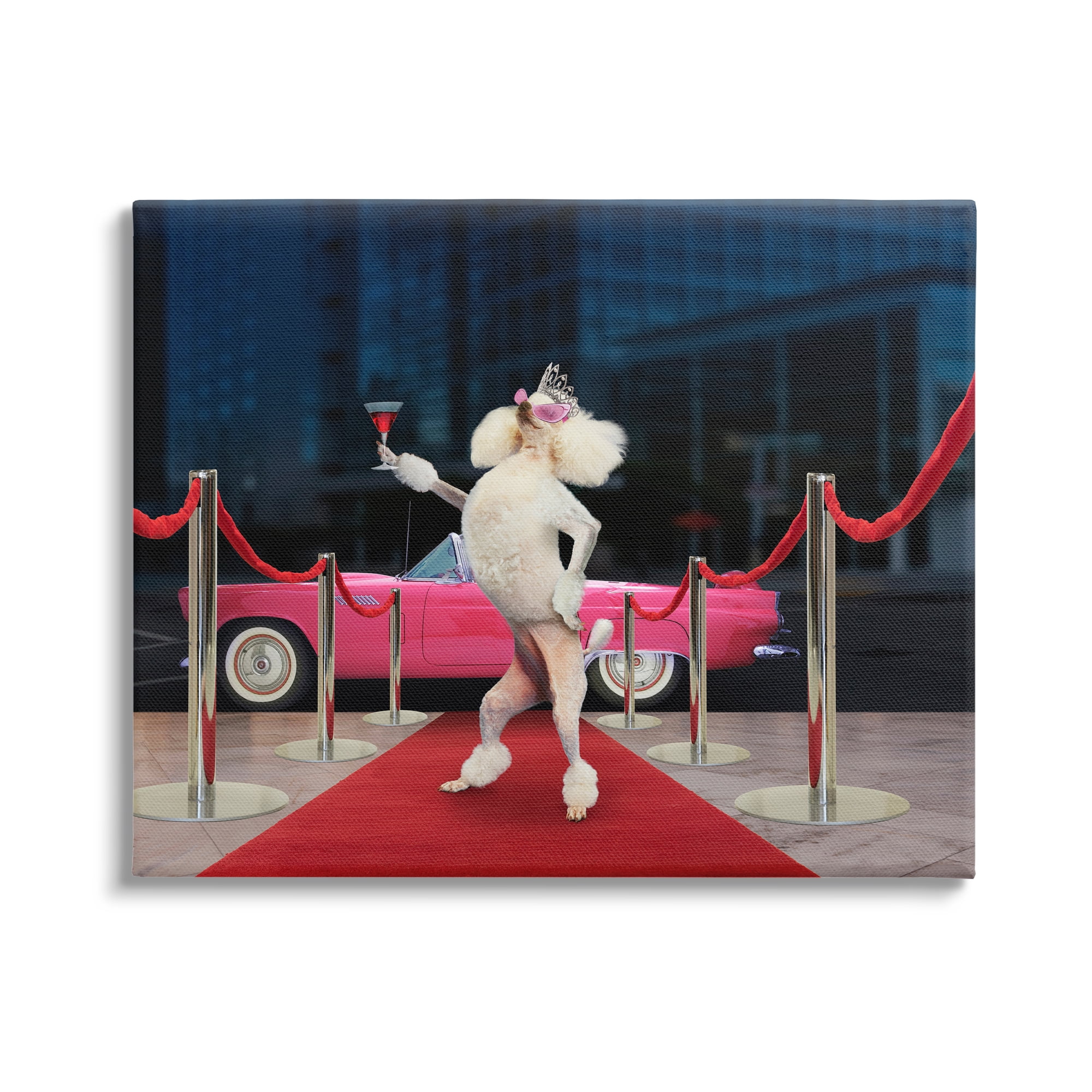 Stupell Industries Funny Red Carpet Poodle Animals & Insects Painting Gallery Wrapped Canvas Print Wall Art, 48 x 36