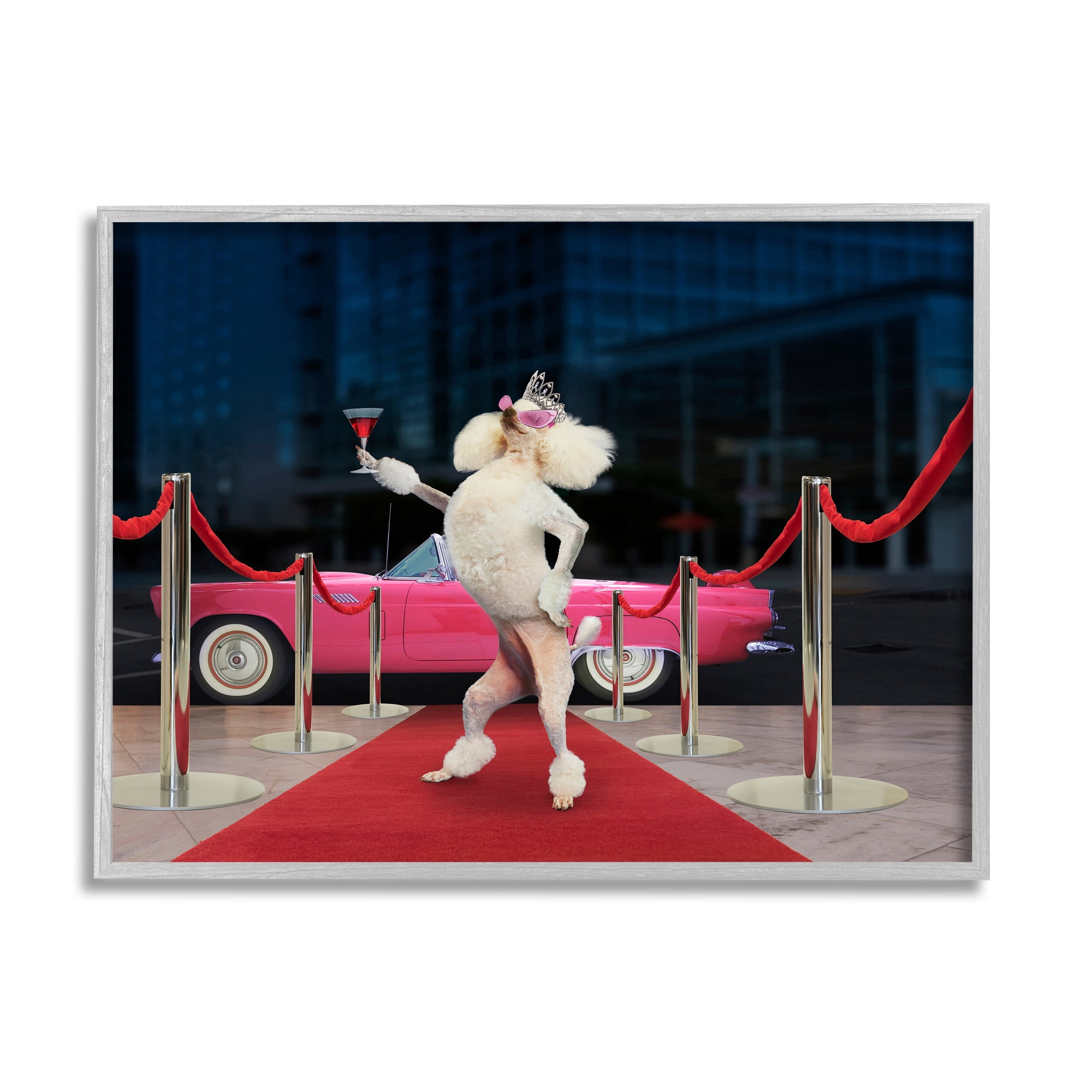 Stupell Industries Funny Red Carpet Poodle Animals & Insects Painting Gray Framed Art Print Wall Art, 30 x 24