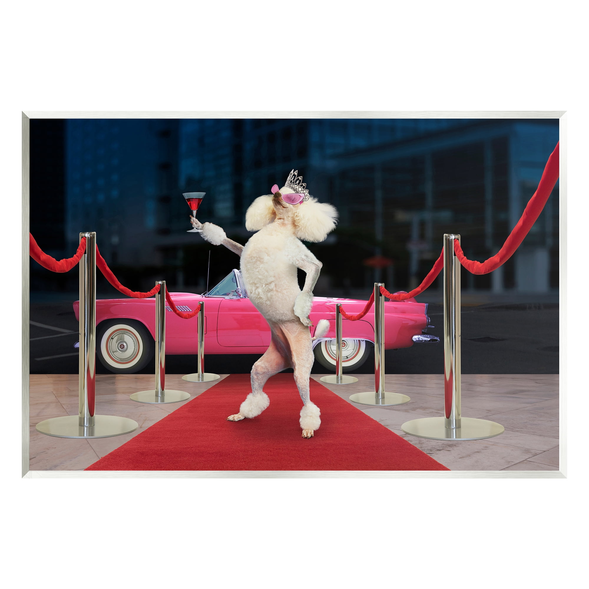 Stupell Industries Funny Red Carpet Poodle Animals & Insects Painting Unframed Art Print Wall Art, 15 x 10