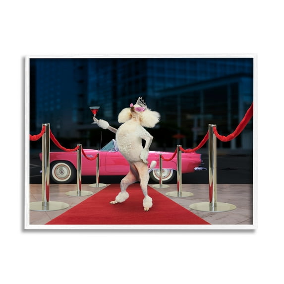 Stupell Industries Funny Red Carpet Poodle Animals & Insects Painting White Framed Art Print Wall Art, 20 x 16