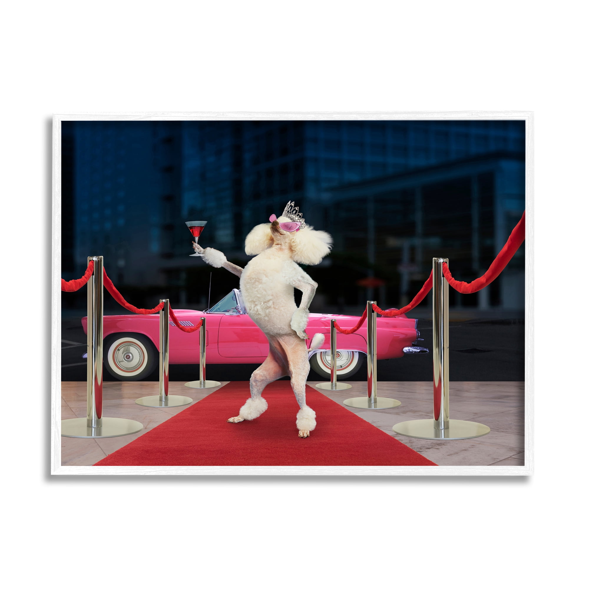 Stupell Industries Funny Red Carpet Poodle Animals & Insects Painting White Framed Art Print Wall Art, 30 x 24