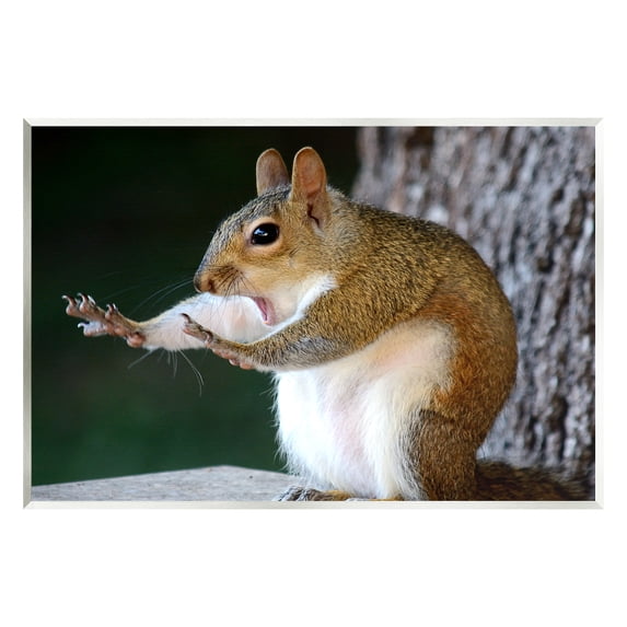 Stupell Industries Funny Shocked Pose Squirrel Animals & Insects Photography Unframed Art Print Wall Art, 15 x 10