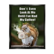 Stupell Industries Funny Squirrel Coffee Phrase Animals & Insects Painting Black Floater Framed Art Print Wall Art, 17 x 21