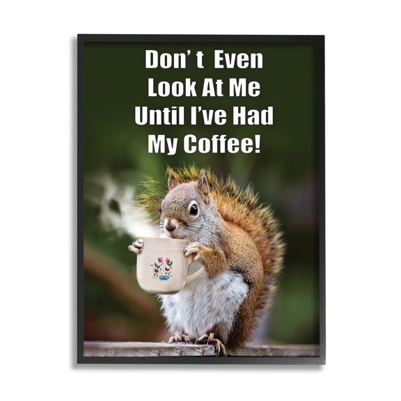 Stupell Industries Funny Squirrel Coffee Phrase Animals & Insects Painting Black Framed Art Print Wall Art, 16 x 20