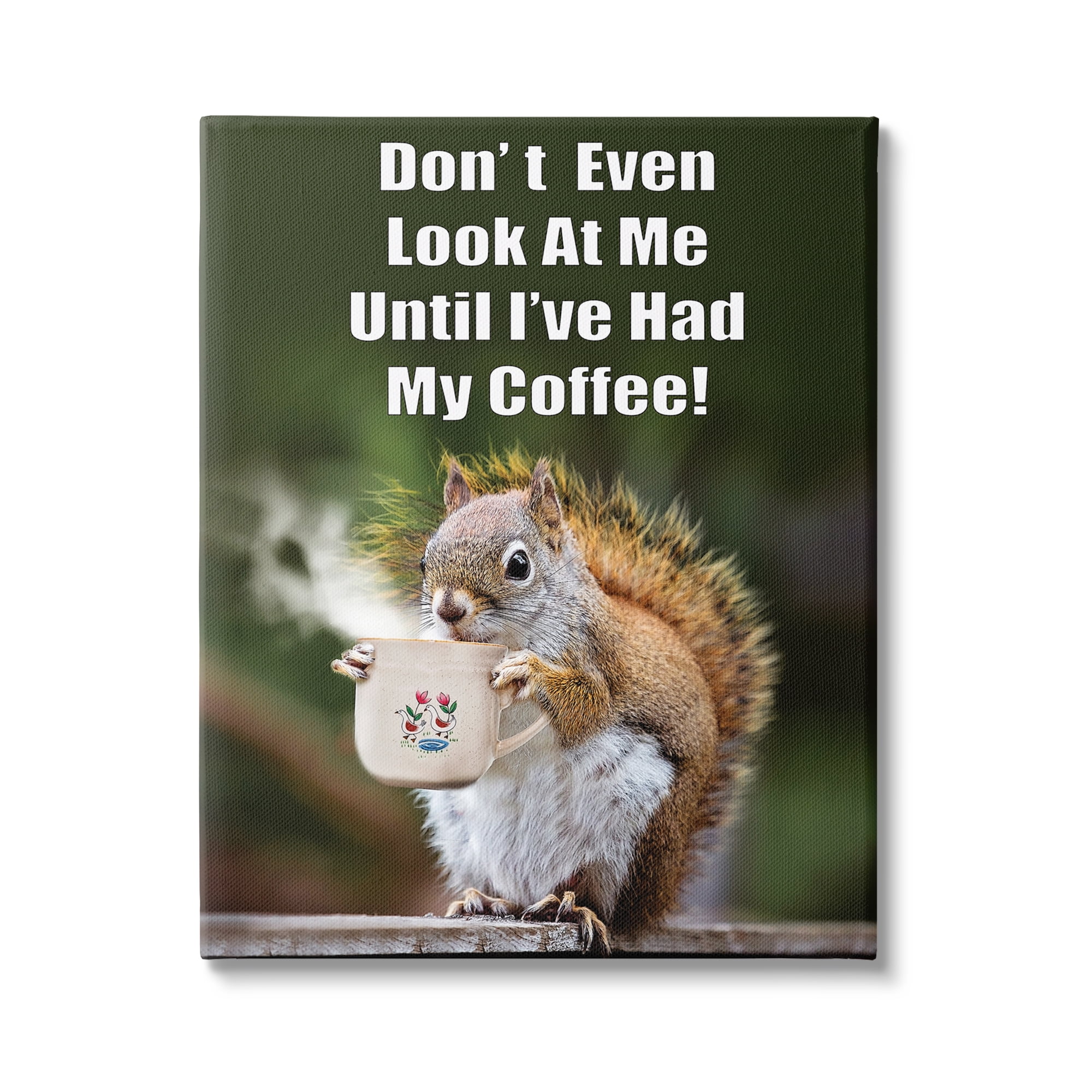 Stupell Industries Funny Squirrel Coffee Phrase Animals & Insects Painting Gallery Wrapped Canvas Print Wall Art, 30 x 40