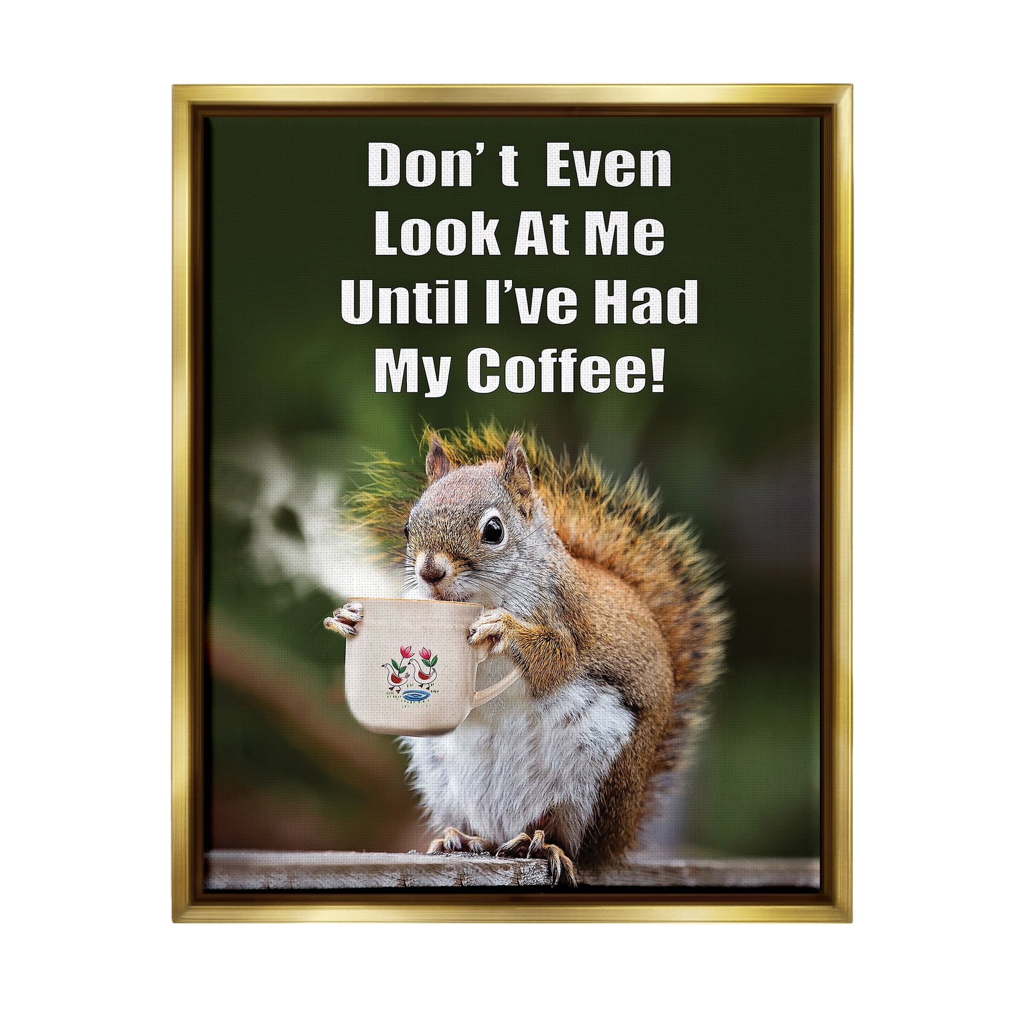 Stupell Industries Funny Squirrel Coffee Phrase Animals & Insects Painting Gold Floater Framed Art Print Wall Art, 17 x 21