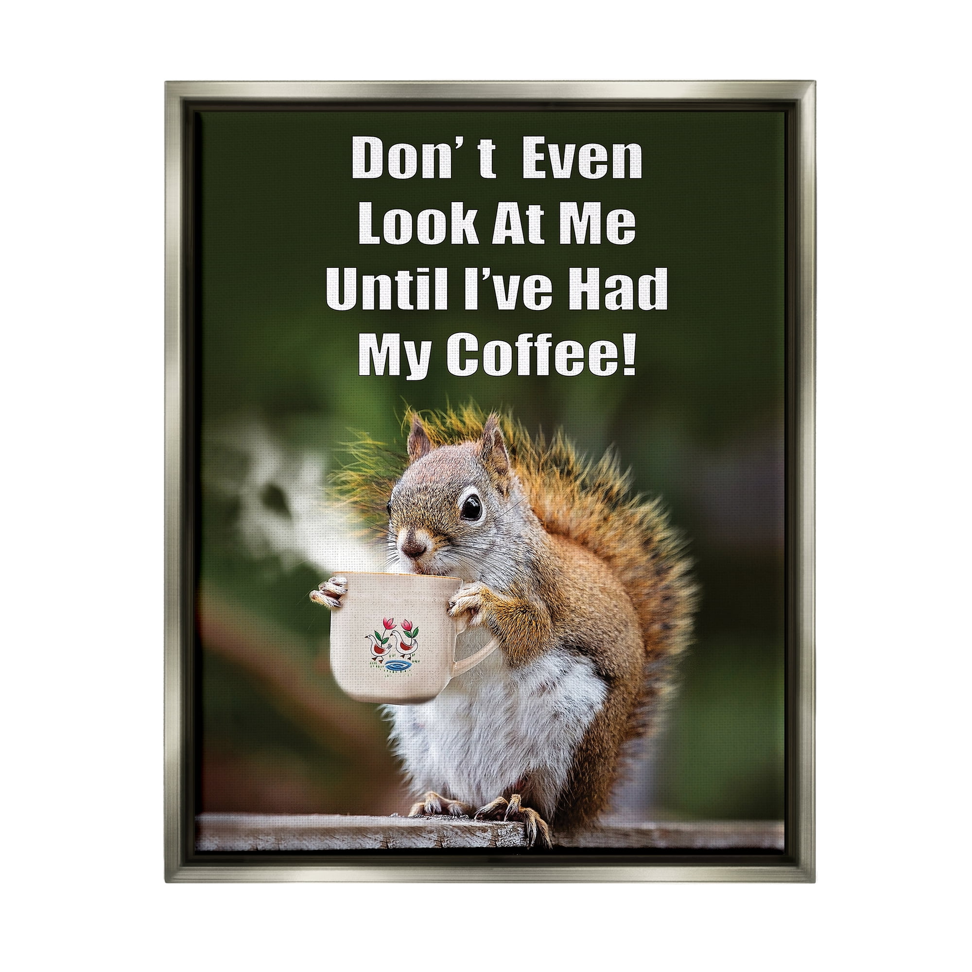 Stupell Industries Funny Squirrel Coffee Phrase Animals & Insects Painting Gray Floater Framed Art Print Wall Art, 17 x 21