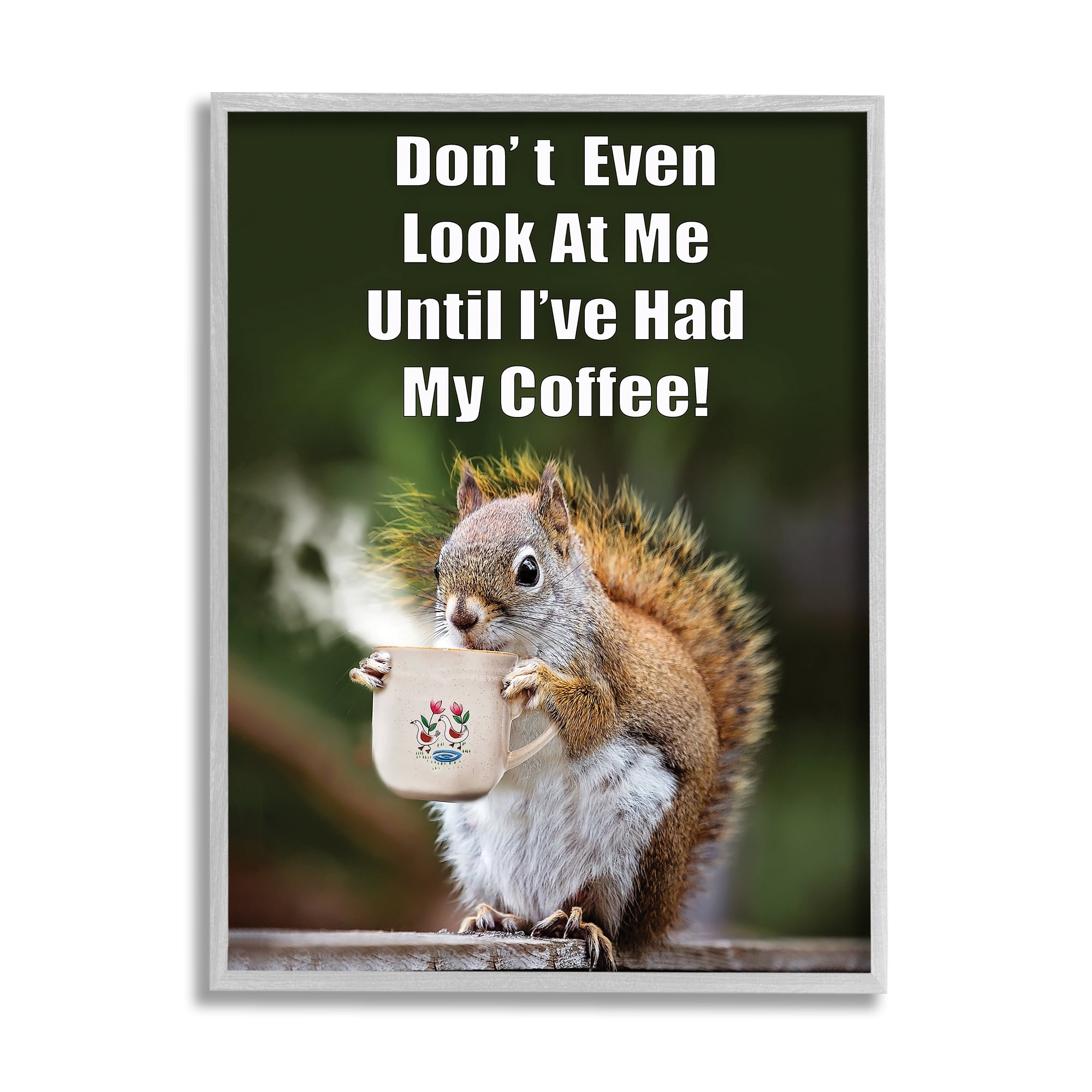 Stupell Industries Funny Squirrel Coffee Phrase Animals & Insects Painting Gray Framed Art Print Wall Art, 11 x 14