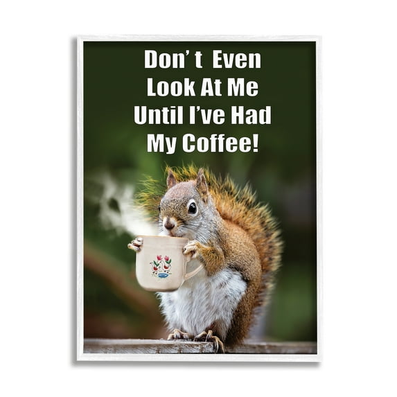 Stupell Industries Funny Squirrel Coffee Phrase Animals & Insects Painting White Framed Art Print Wall Art, 16 x 20