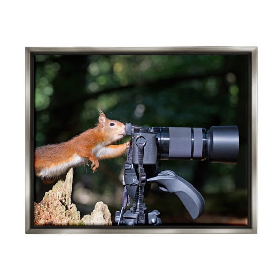 Stupell Industries Funny Squirrel Photographer Animals & Insects Photography Gray Floater Framed Canvas Art Print Wall Art, 21 x 17