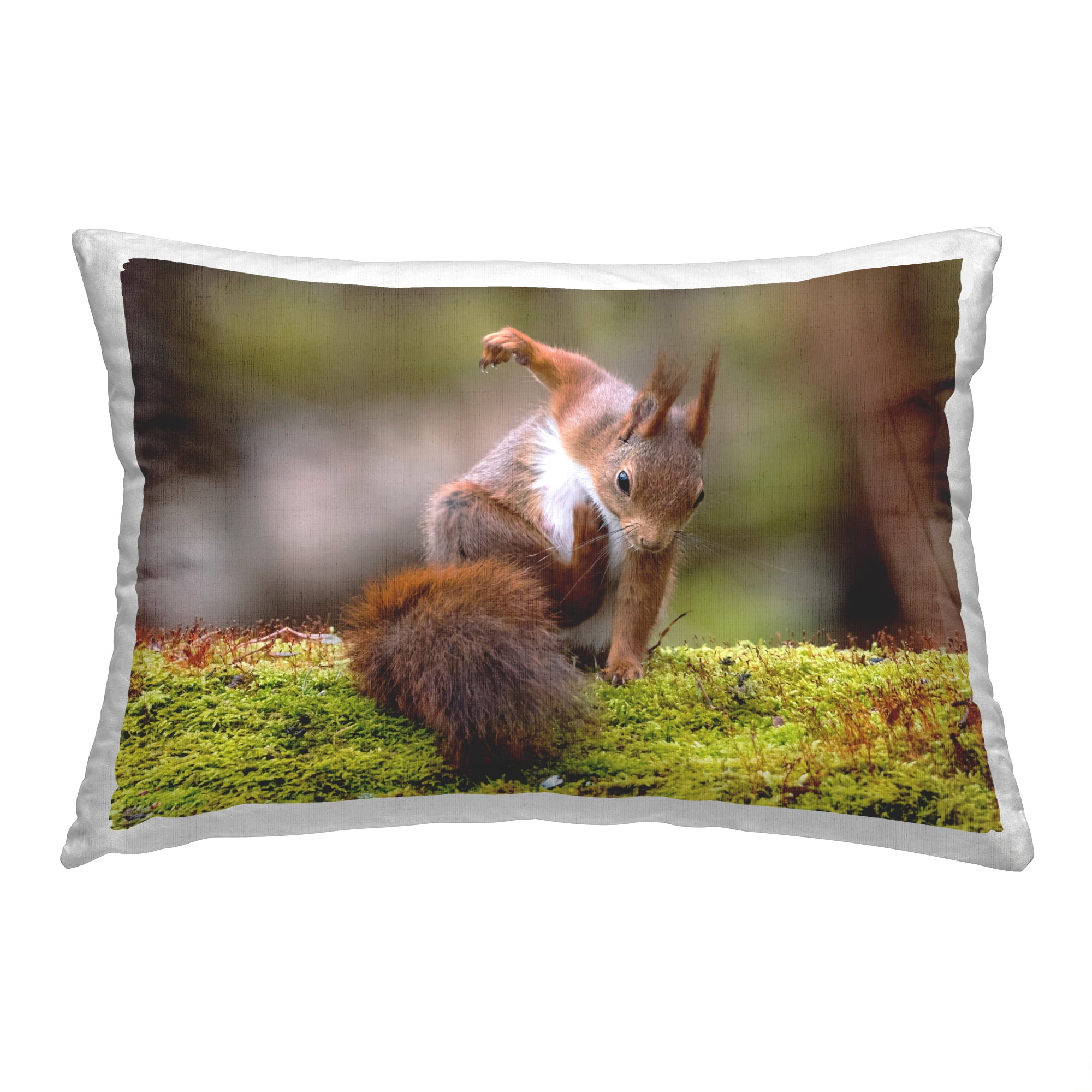 Stupell Industries Funny Squirrel Posing Decorative Printed Throw Pillow, 14 x 20