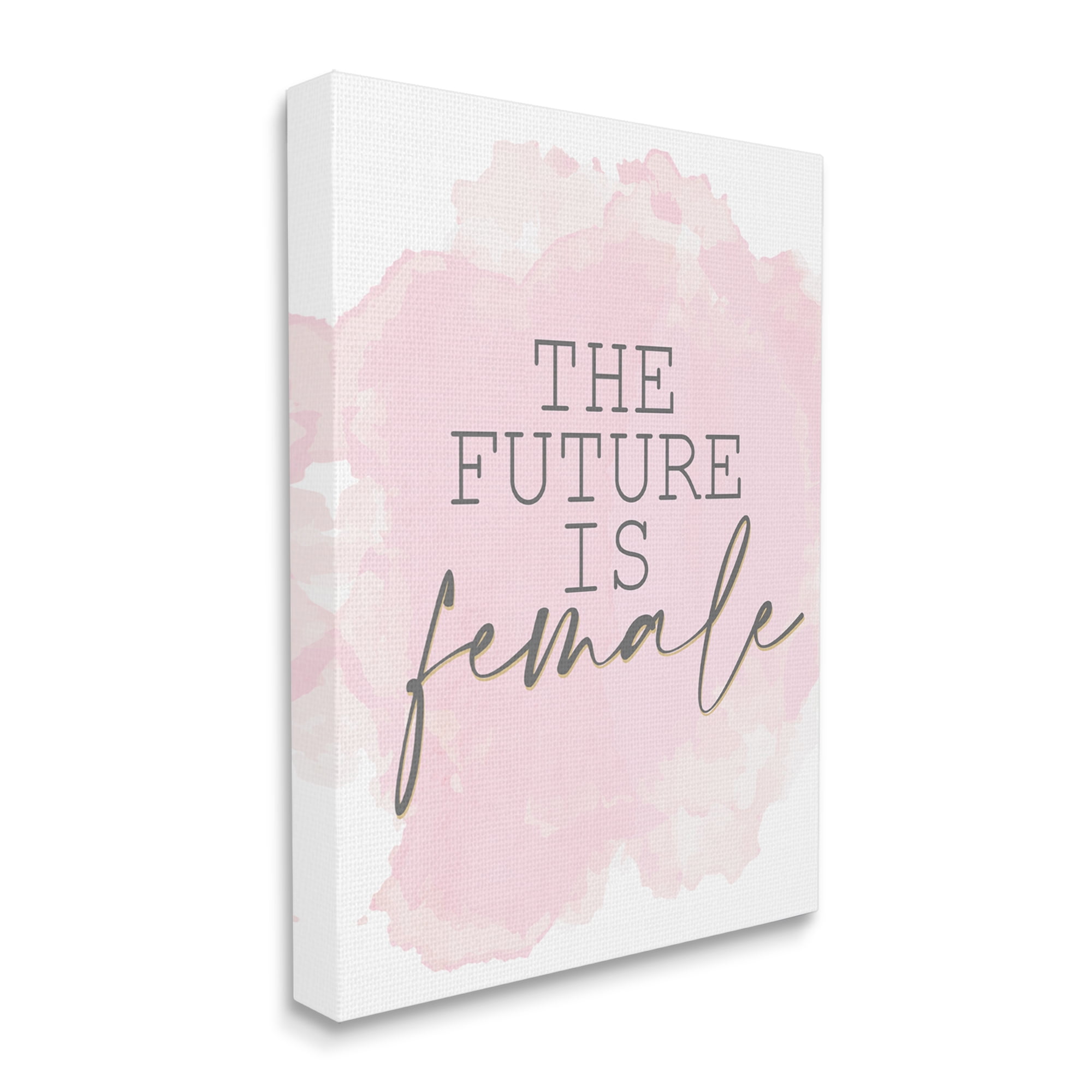 Stupell Industries Future is Female Phrase Abstract Pink Texture Canvas Wall Art by Kim Allen