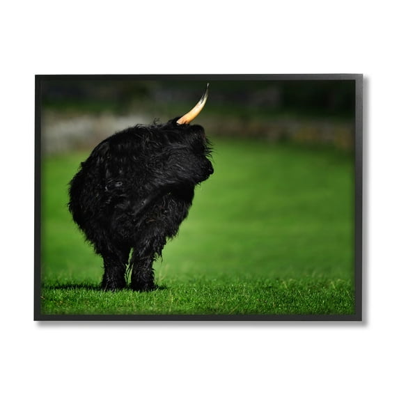 Stupell Industries Fuzzy Yak Looking Away Lush Grass Field Photograph Black Framed Art Print Wall Art, Design by James Dobson