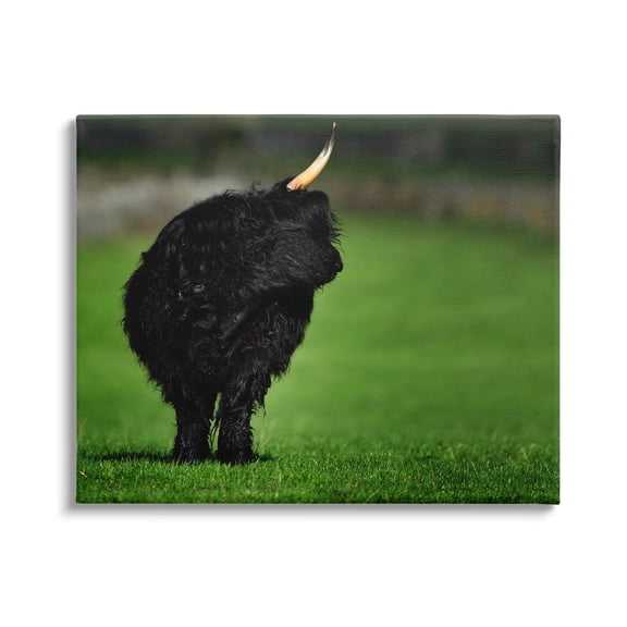Stupell Industries Fuzzy Yak Looking Away Lush Grass Field Photograph Gallery Wrapped Canvas Print Wall Art, Design by James Dobson
