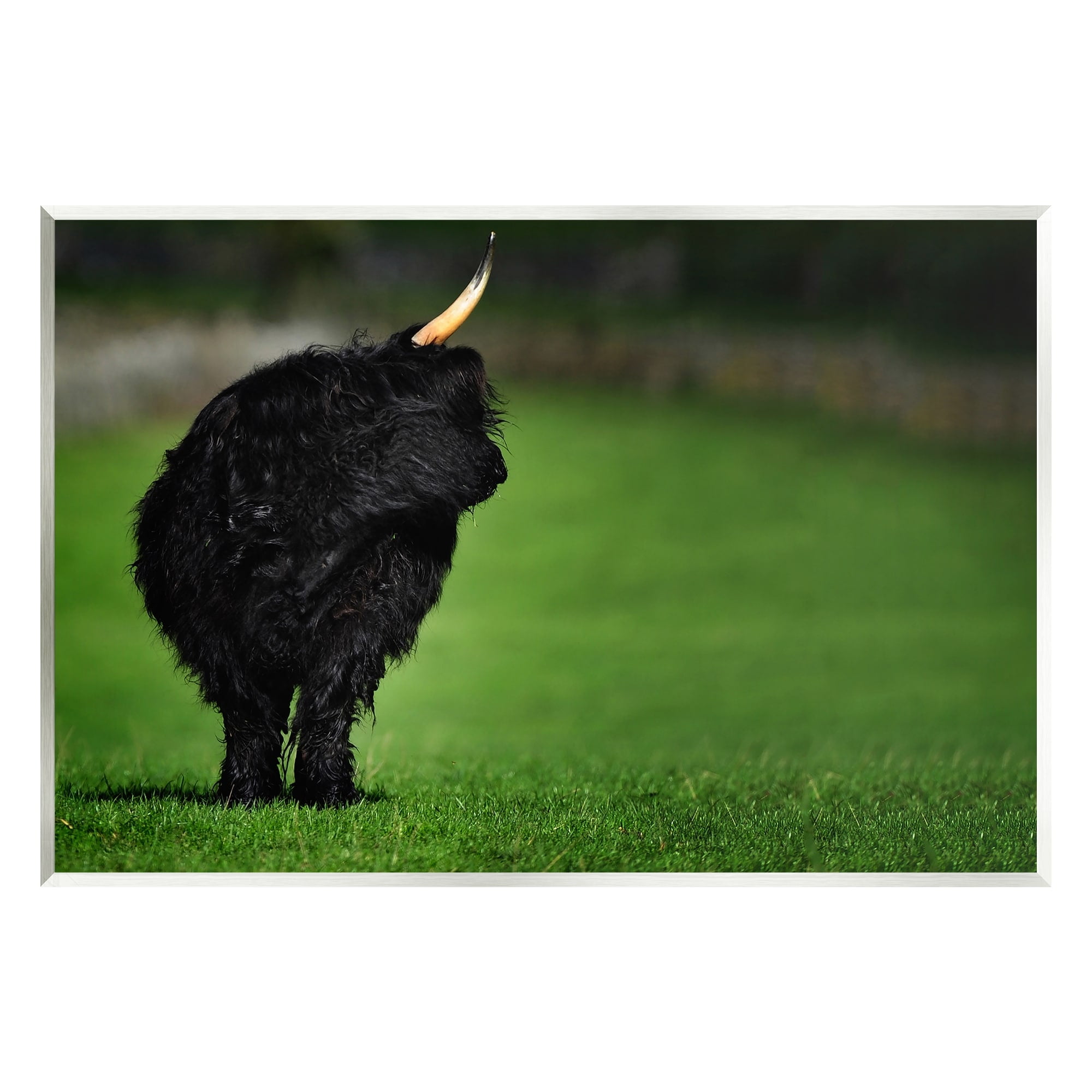 Stupell Industries Fuzzy Yak Looking Away Lush Grass Field Photograph Unframed Art Print Wall Art, Design by James Dobson