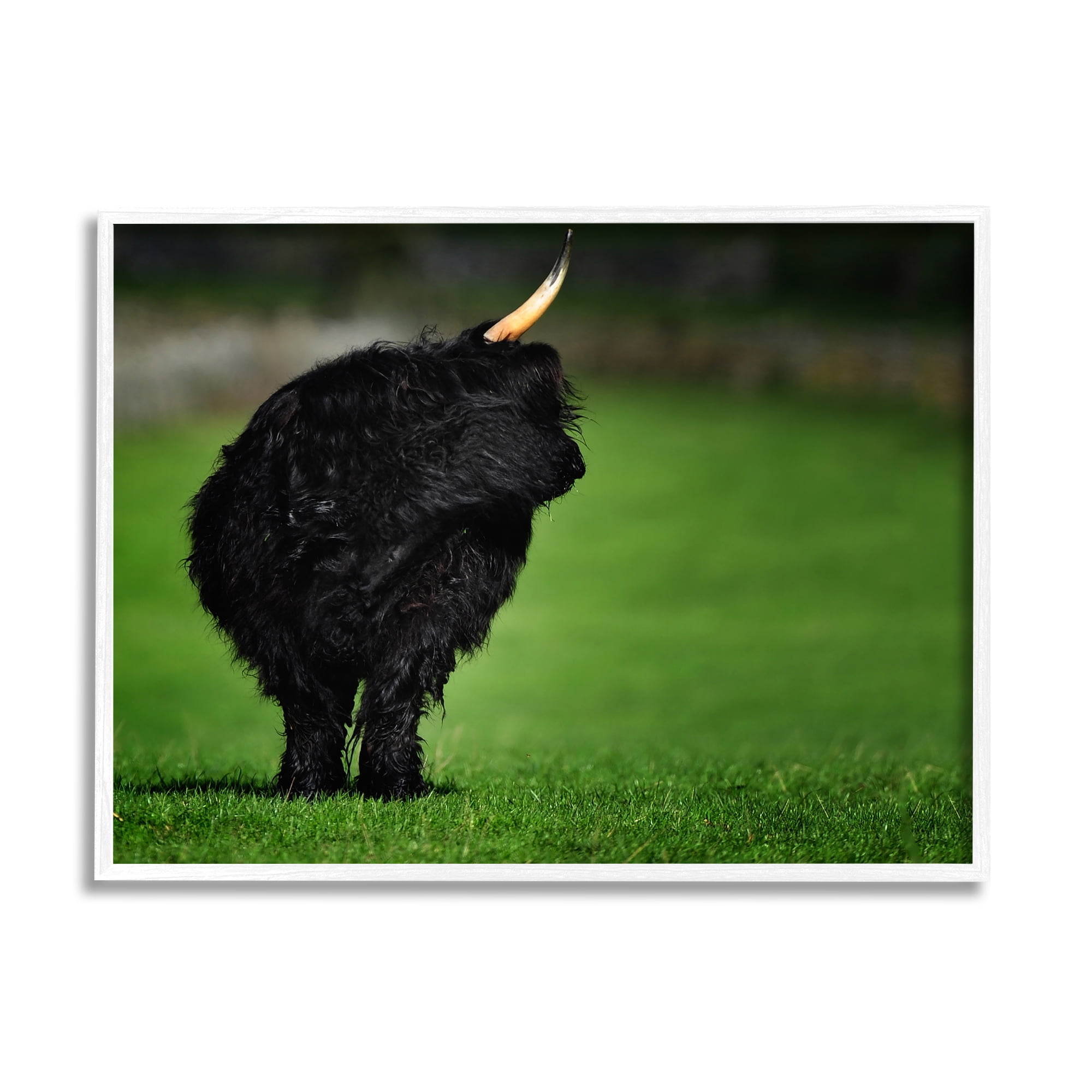 yak framed picture