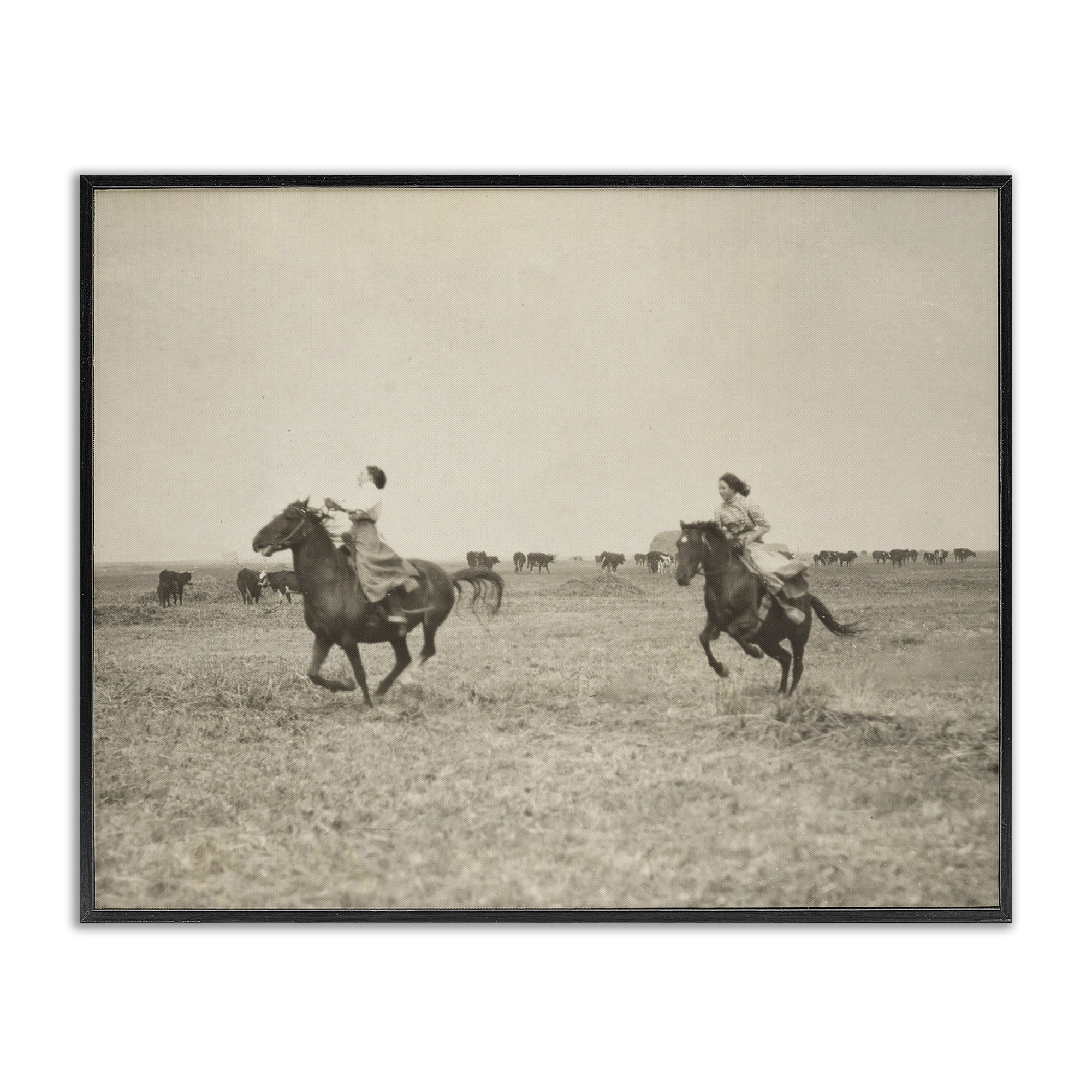 Stupell Industries Galloping Cowgirl Friends Animals Photography Black Framed Art Print Wall Art, 20 x 16