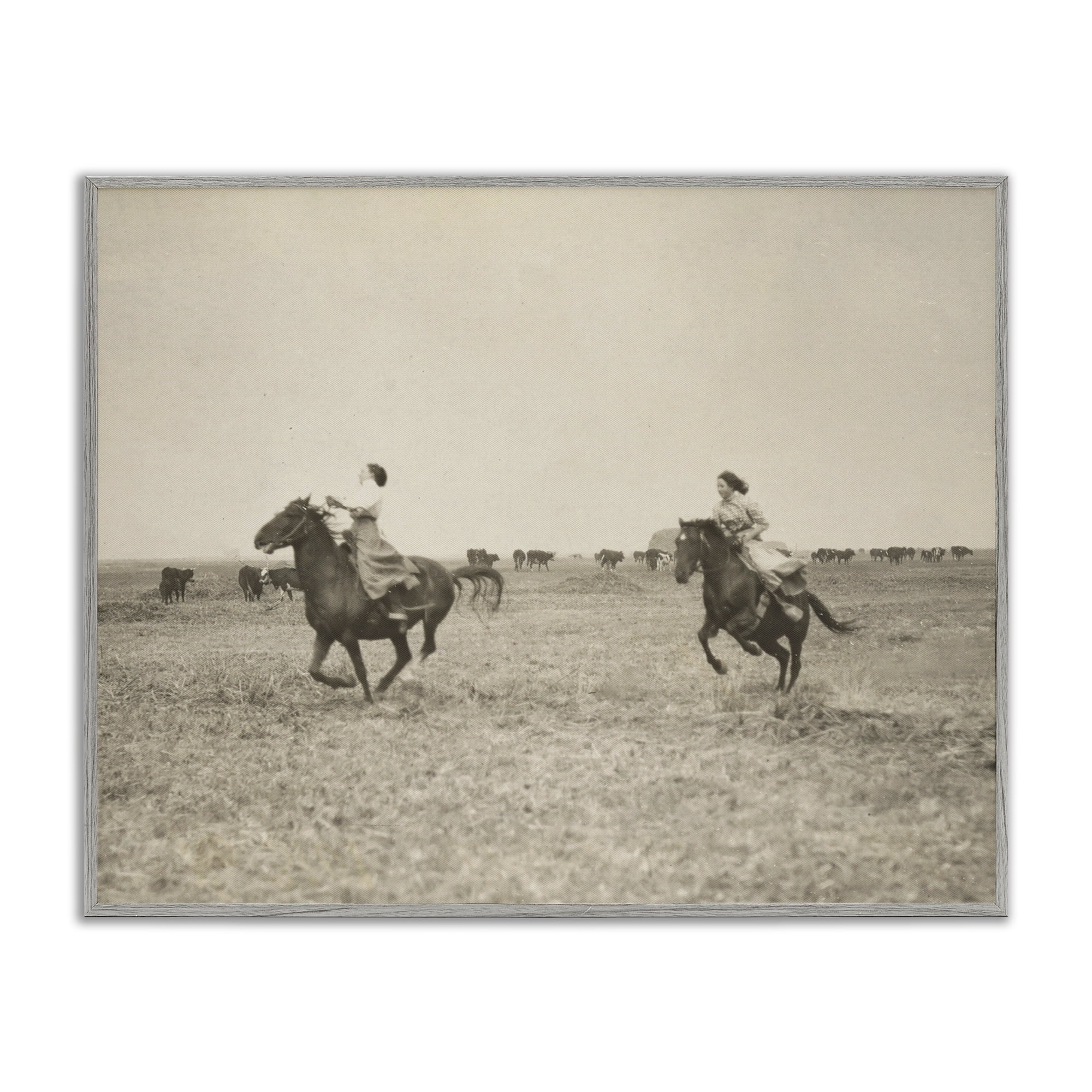 Stupell Industries Galloping Cowgirl Friends Animals Photography Gray Framed Art Print Wall Art, 30 x 24