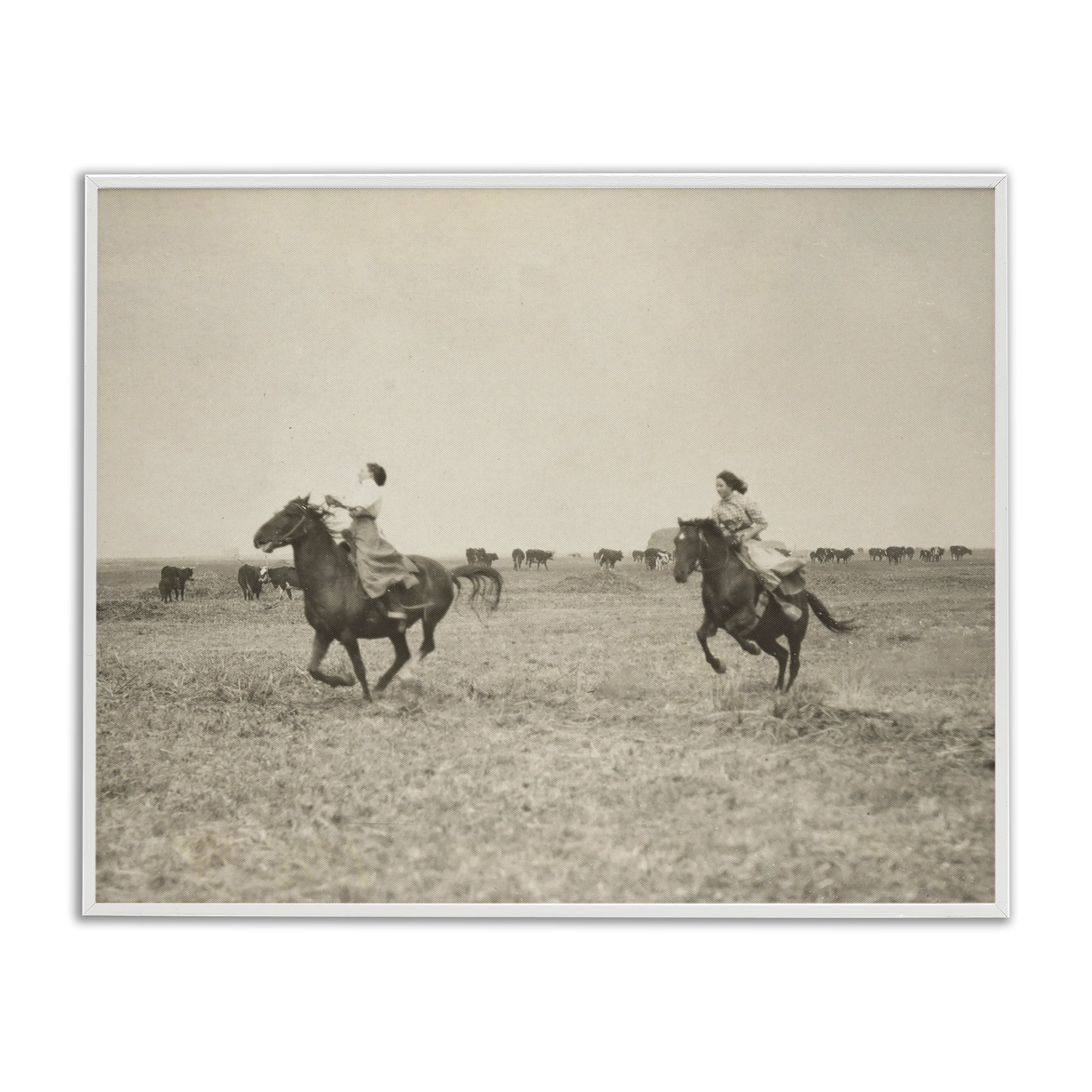 Stupell Industries Galloping Cowgirl Friends Animals Photography White Framed Art Print Wall Art, 20 x 16