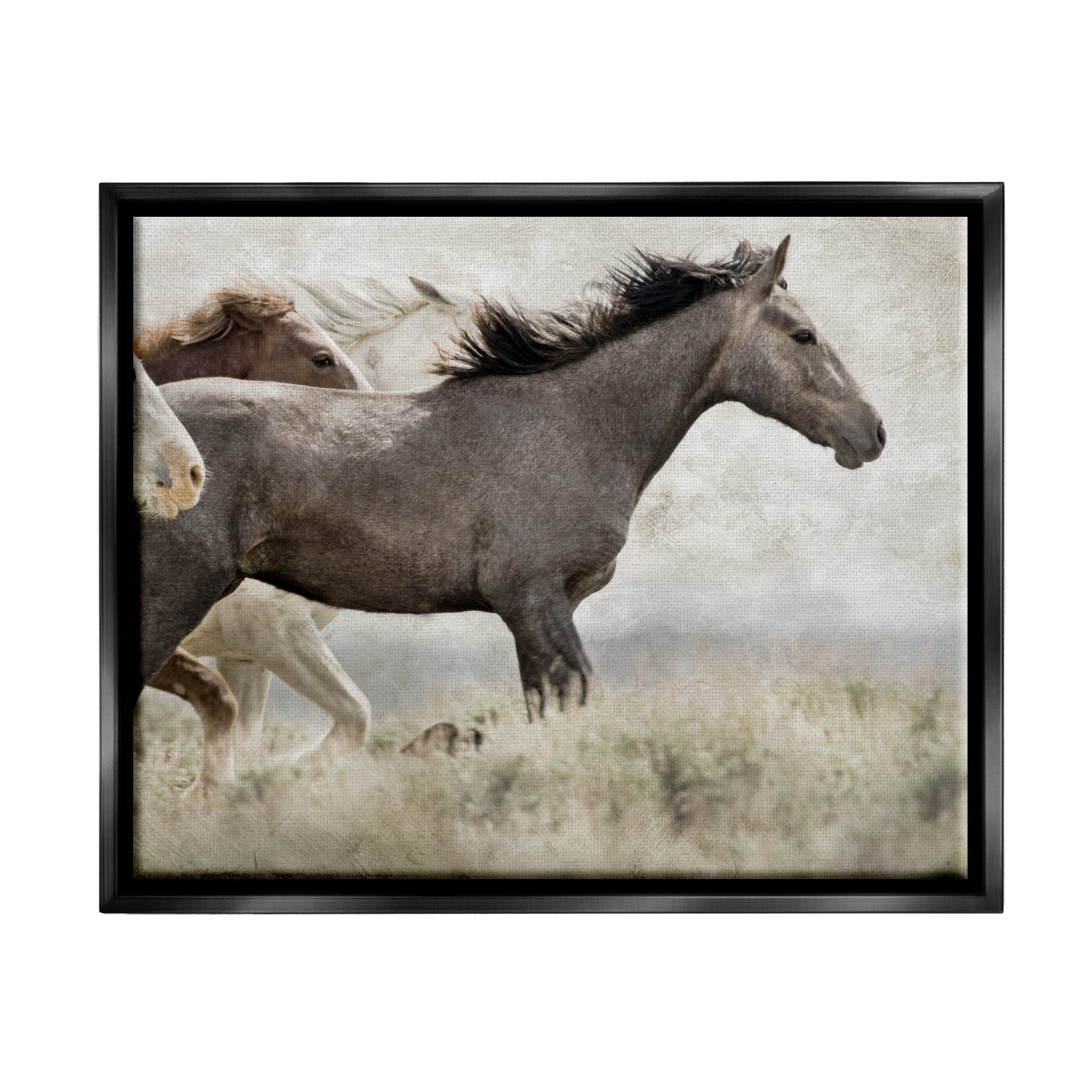 Stupell Industries Galloping Horse Herd Photography Animals & Insects Photography Black Floater Framed Art Print Wall Art