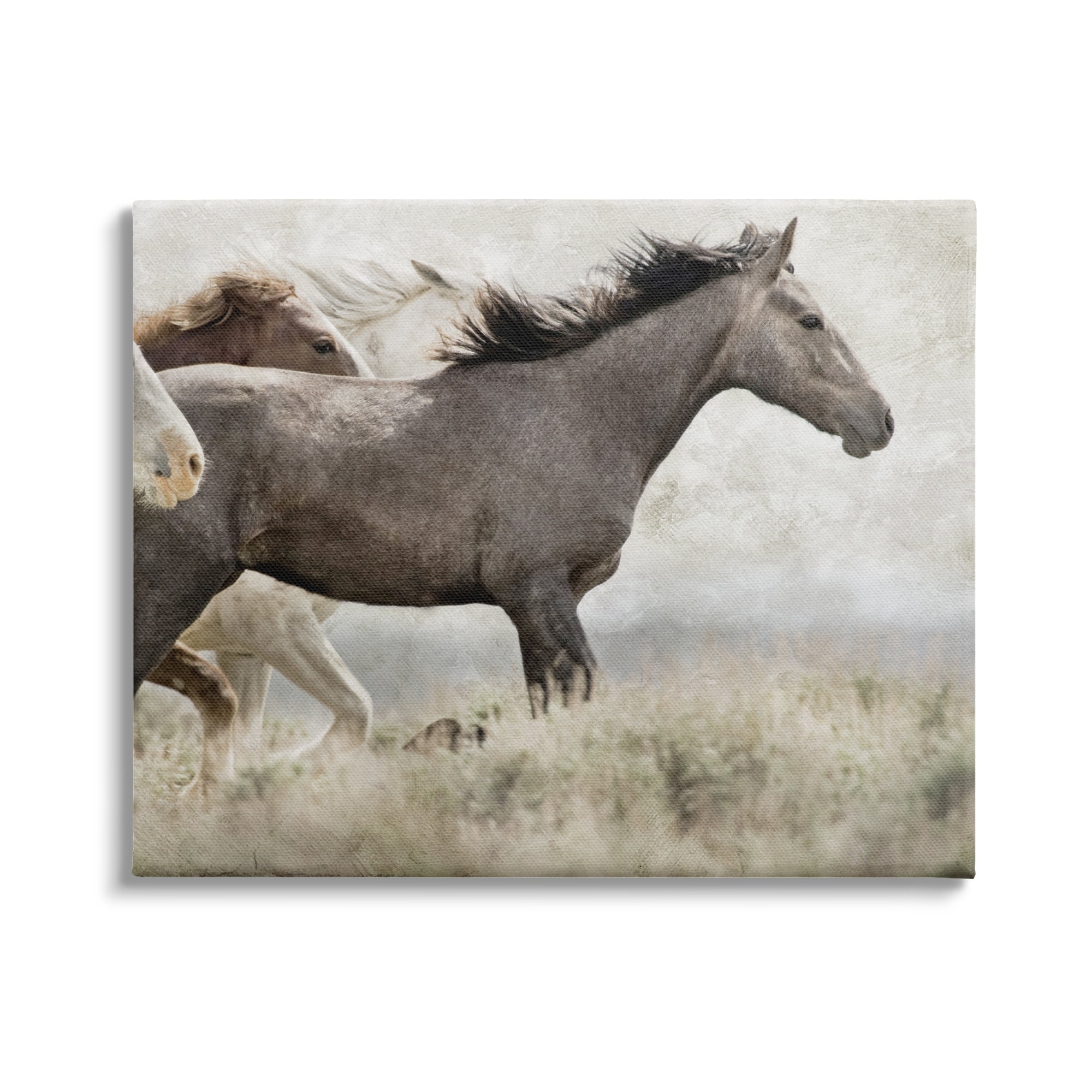Stupell Industries Galloping Horse Herd Photography Animals & Insects Photography Gallery Wrapped Canvas Print Wall Art