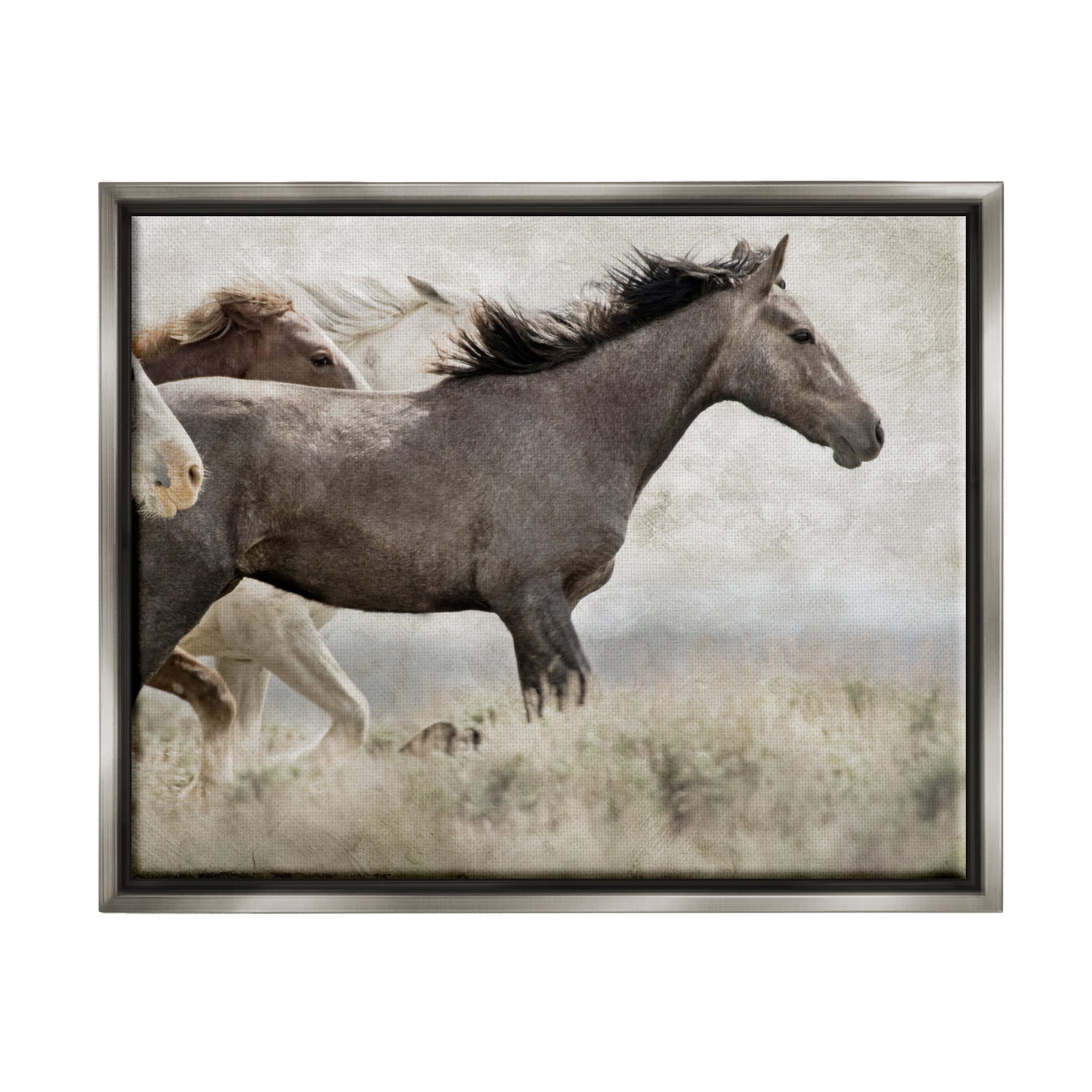 Stupell Industries Galloping Horse Herd Photography Animals & Insects Photography Gray Floater Framed Art Print Wall Art
