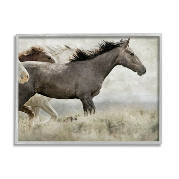 Stupell Industries Galloping Horse Herd Photography Animals & Insects Photography Gray Framed Art Print Wall Art